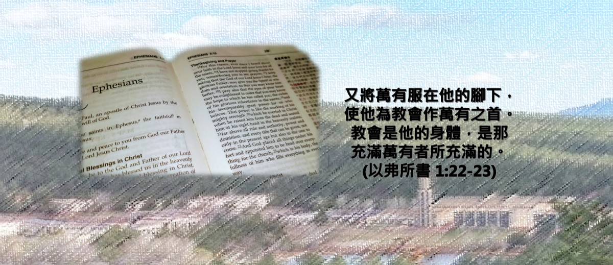 Slider Banner